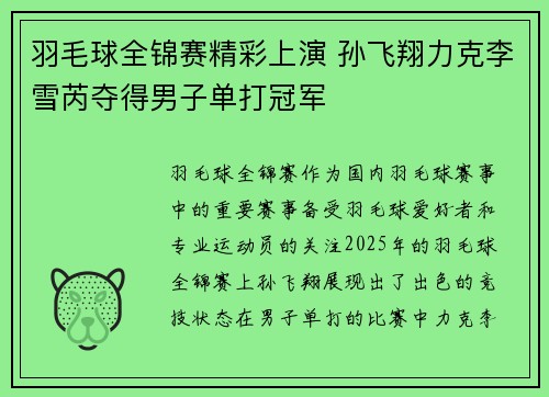 羽毛球全锦赛精彩上演 孙飞翔力克李雪芮夺得男子单打冠军